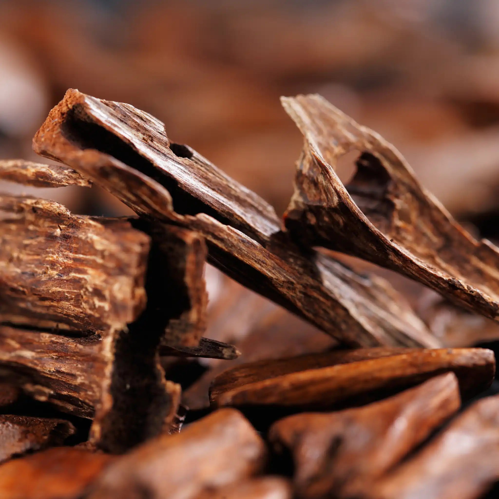 madera de oud