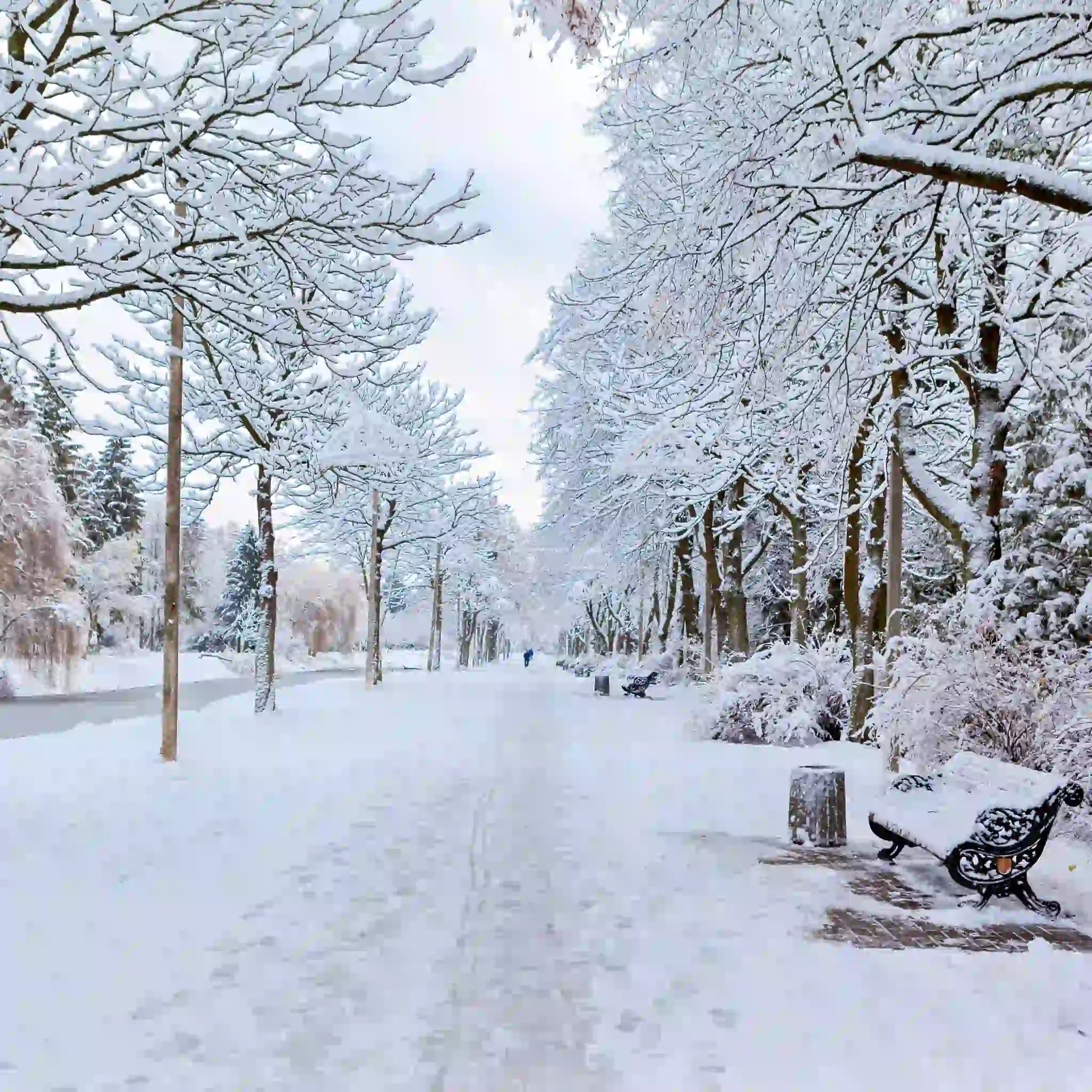 Parque en invierno lleno de nieve